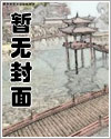 少将的伪装妻